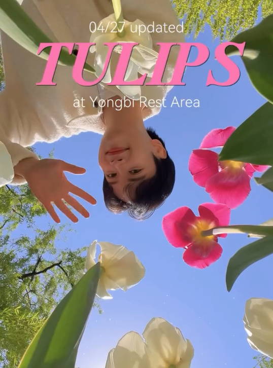 Fields of colorful tulips are waiting just a short trip in&nbsp;Seoul.