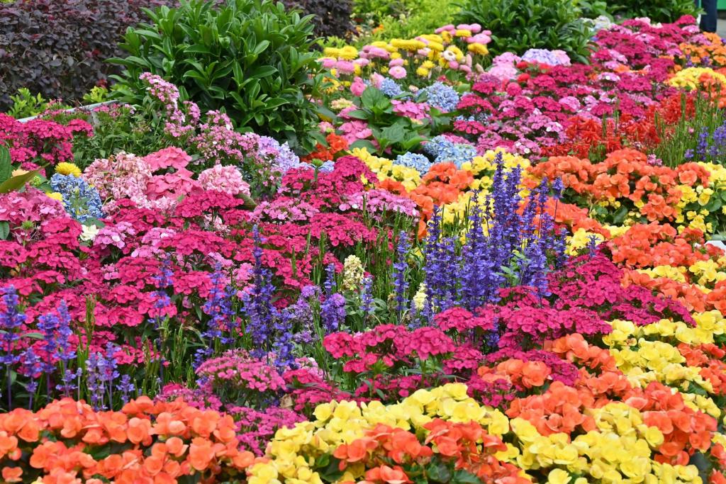 ソウル郊外へ🌸：2026年春、最後のお花見を楽しむ日帰り旅行スポット5選